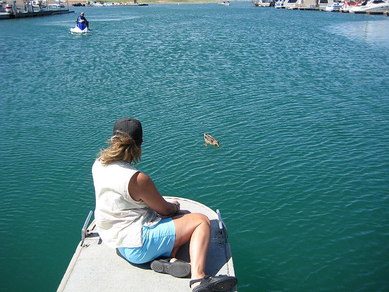 Picture 033